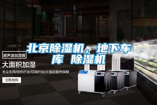 北京小黄片软件免费下载，地下車庫 小黄片软件免费下载