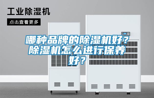 哪種品牌的小黄片软件免费下载好？小黄片软件免费下载怎麽進行保養好？