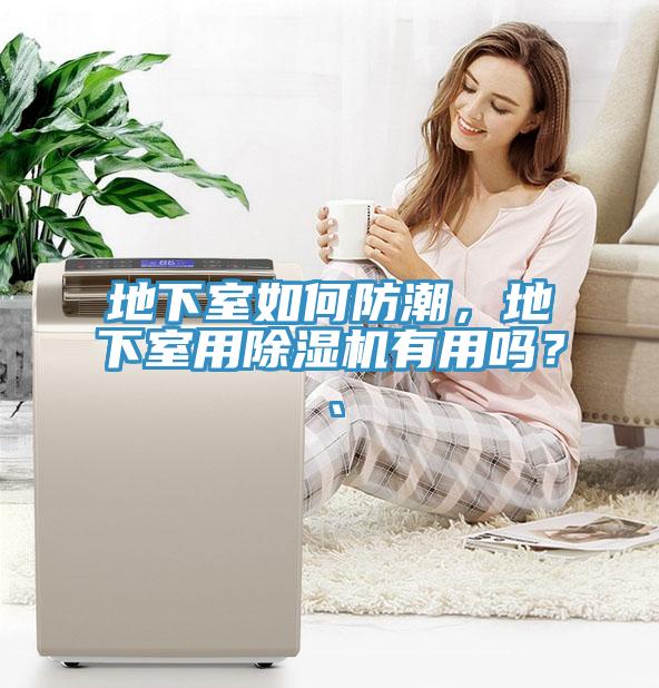 地下室如何防潮，地下室用小黄片软件免费下载有用嗎？、