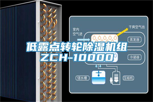 低露點轉輪小黄片软件免费下载組ZCH-10000