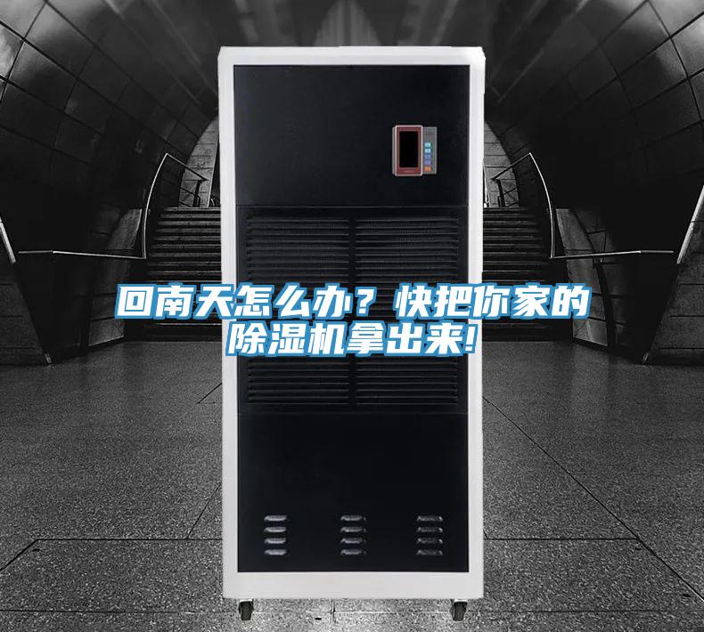 回南天怎麽辦？快把你家的小黄片软件免费下载拿出來!
