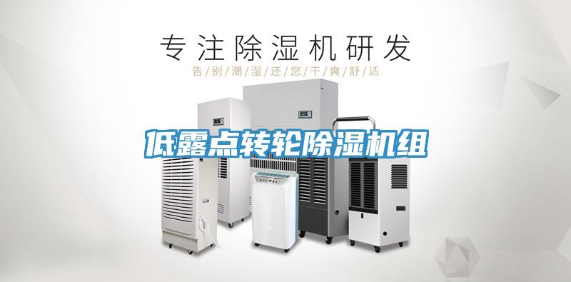 低露點轉輪小黄片软件免费下载組