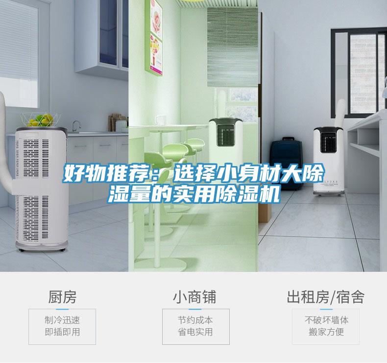 好物推薦：選擇小身材大除濕量的實用小黄片软件免费下载