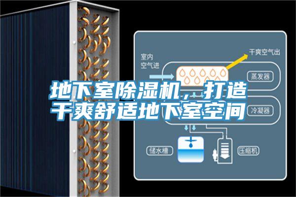 地下室小黄片软件免费下载，打造幹爽舒適地下室空間