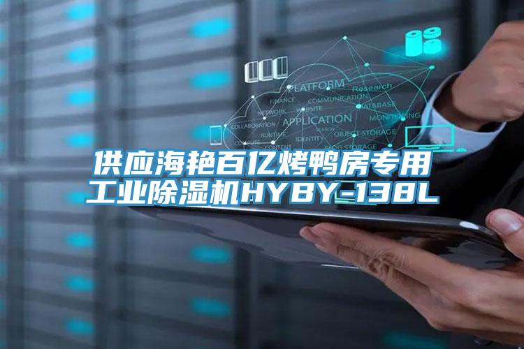供應海豔百億烤鴨房專用工業小黄片软件免费下载HYBY-138L