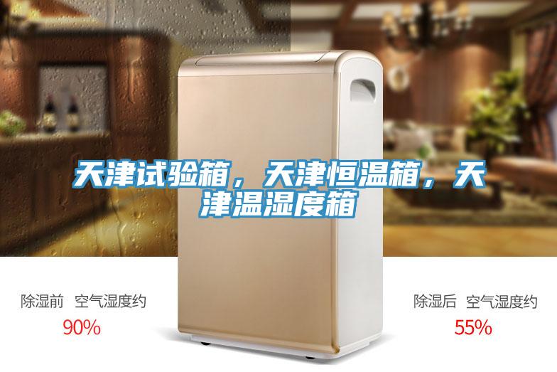 天津試驗箱，天津恒溫箱，天津溫濕度箱