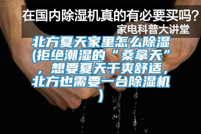 北方夏天家裏怎麽除濕(拒絕潮濕的“桑拿天”，想要夏天幹爽舒適，北方也需要一台小黄片软件免费下载)