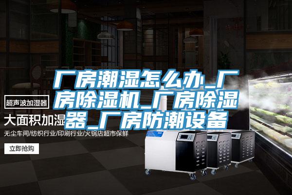 廠房潮濕怎麽辦_廠房小黄片软件免费下载_廠房除濕器_廠房防潮設備
