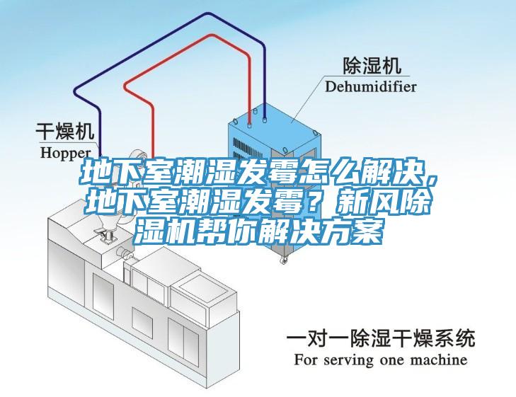 地下室潮濕發黴怎麽解決，地下室潮濕發黴？新風小黄片软件免费下载幫你解決方案