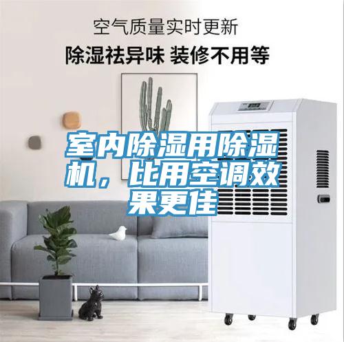 室內除濕用小黄片软件免费下载，比用空調效果更佳