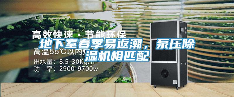地下室春季易返潮，泵壓小黄片软件免费下载相匹配