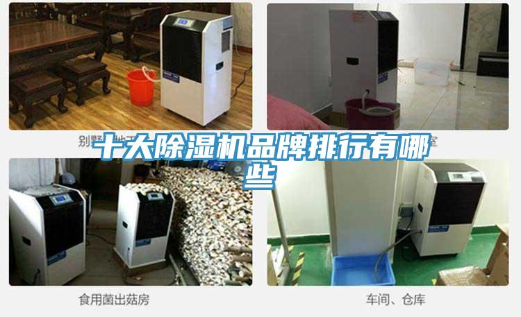 十大小黄片软件免费下载品牌排行有哪些