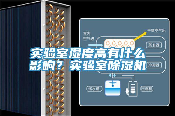 實驗室濕度高有什麽影響？實驗室小黄片软件免费下载