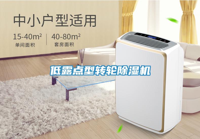 低露點型轉輪小黄片软件免费下载
