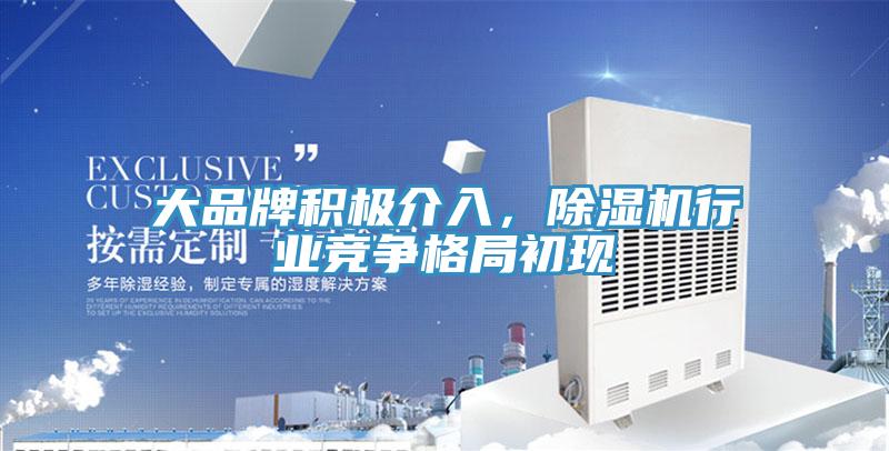大品牌積極介入，小黄片软件免费下载行業競爭格局初現