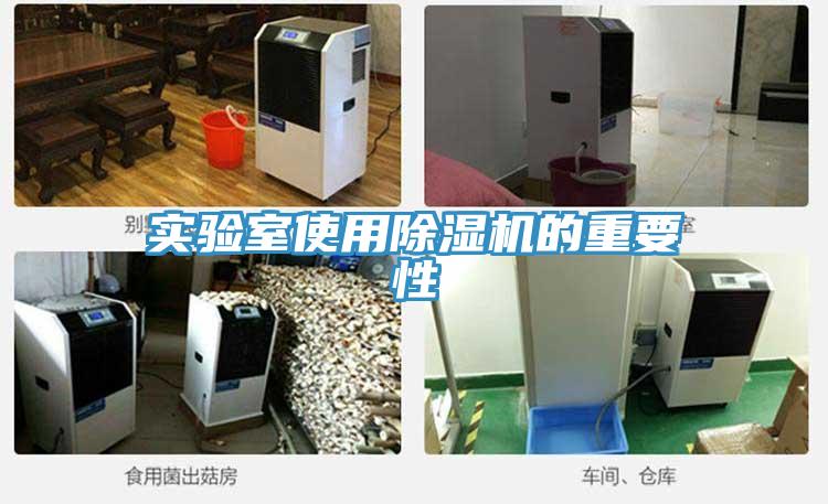 實驗室使用小黄片软件免费下载的重要性