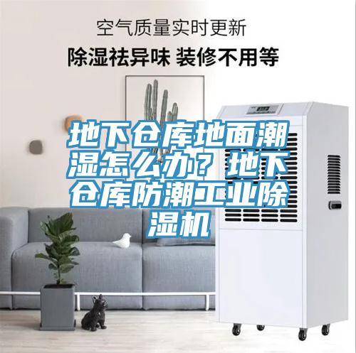 地下倉庫地麵潮濕怎麽辦？地下倉庫防潮工業小黄片软件免费下载