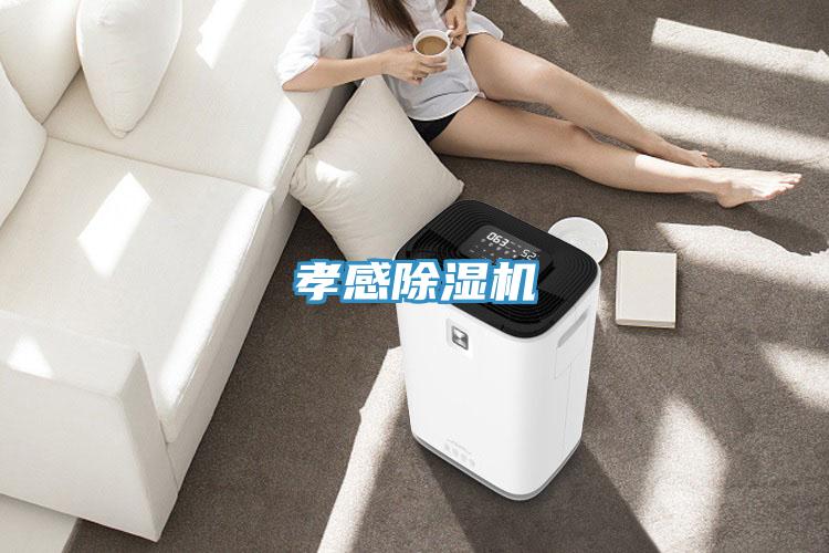 孝感小黄片软件免费下载