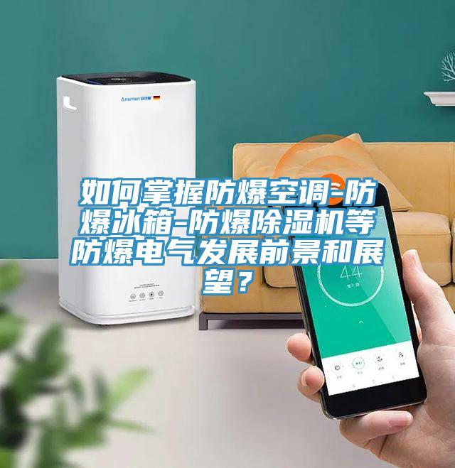 如何掌握防爆空調-防爆冰箱-防爆小黄片软件免费下载等防爆電氣發展前景和展望？