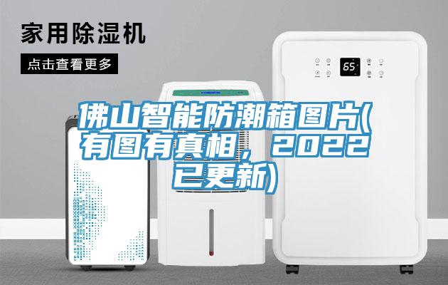 佛山智能防潮箱圖片(有圖有真相，2022已更新)