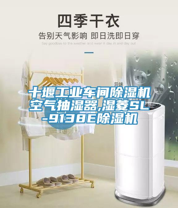 十堰工業車間小黄片软件免费下载空氣抽濕器,濕菱SL-9138E小黄片软件免费下载