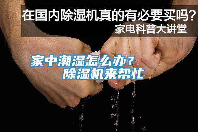 家中潮濕怎麽辦？    小黄片软件免费下载來幫忙