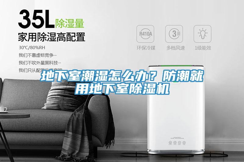 地下室潮濕怎麽辦？防潮就用地下室小黄片软件免费下载