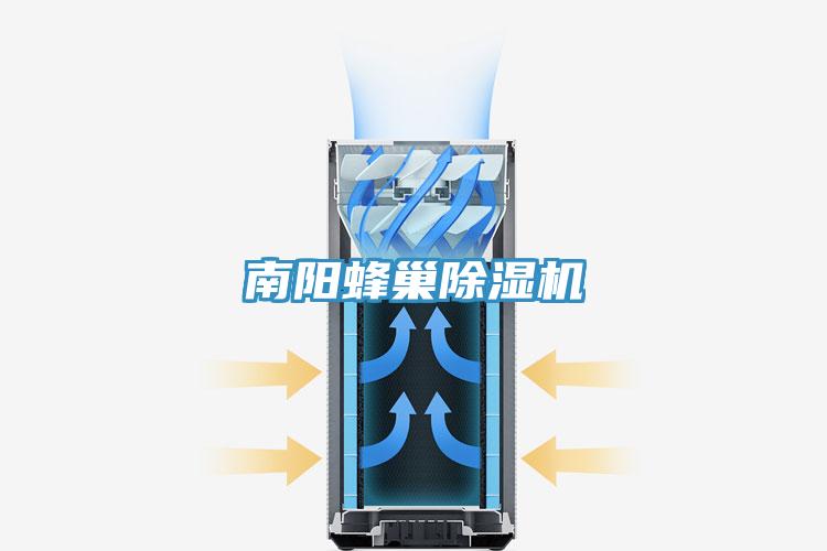 南陽蜂巢小黄片软件免费下载