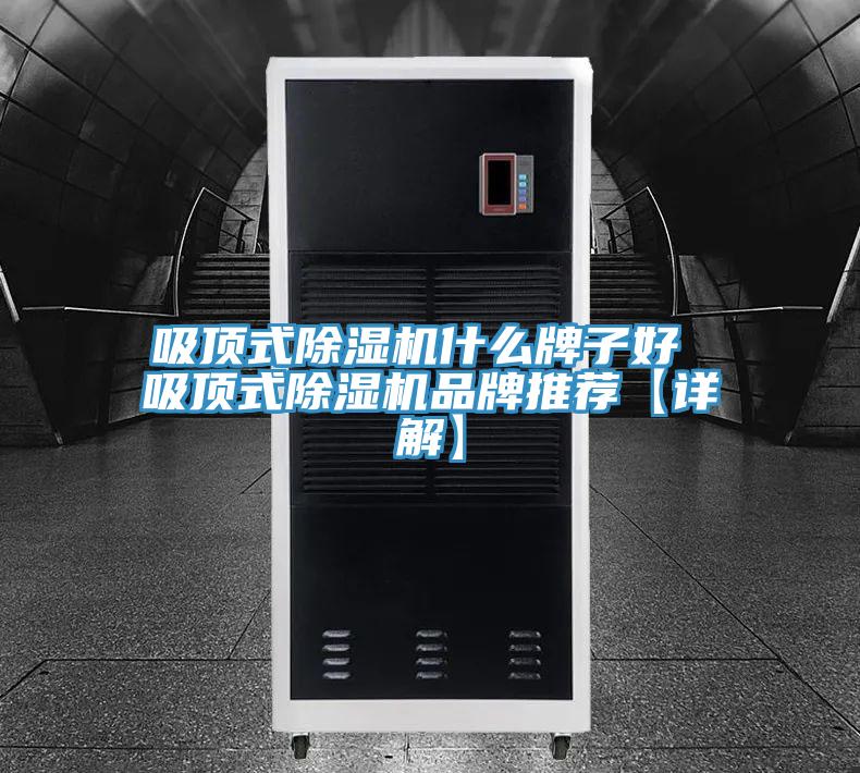 吸頂式小黄片软件免费下载什麽牌子好 吸頂式小黄片软件免费下载品牌推薦【詳解】