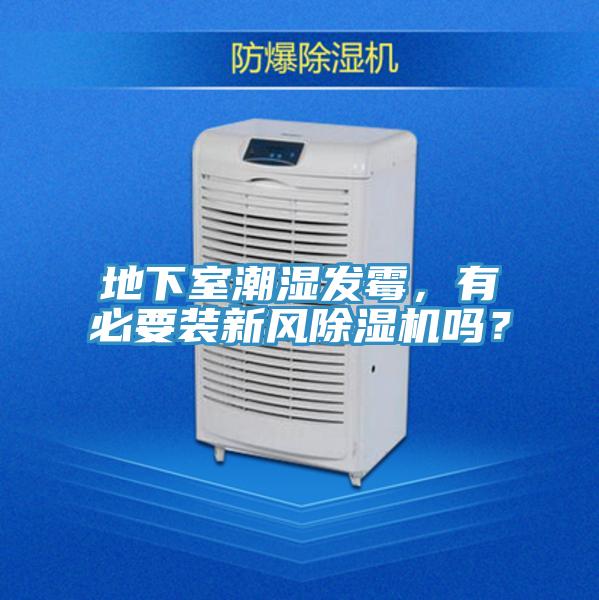 地下室潮濕發黴，有必要裝新風小黄片软件免费下载嗎？
