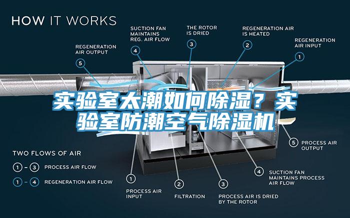實驗室太潮如何除濕？實驗室防潮空氣小黄片软件免费下载