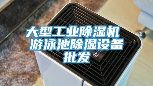 大型工業小黄片软件免费下载 遊泳池除濕設備批發
