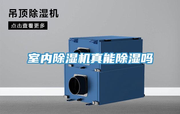 室內小黄片软件免费下载真能除濕嗎