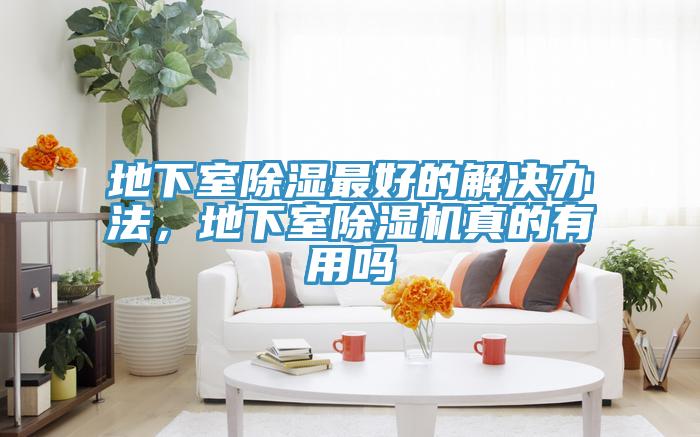 地下室除濕最好的解決辦法，地下室小黄片软件免费下载真的有用嗎