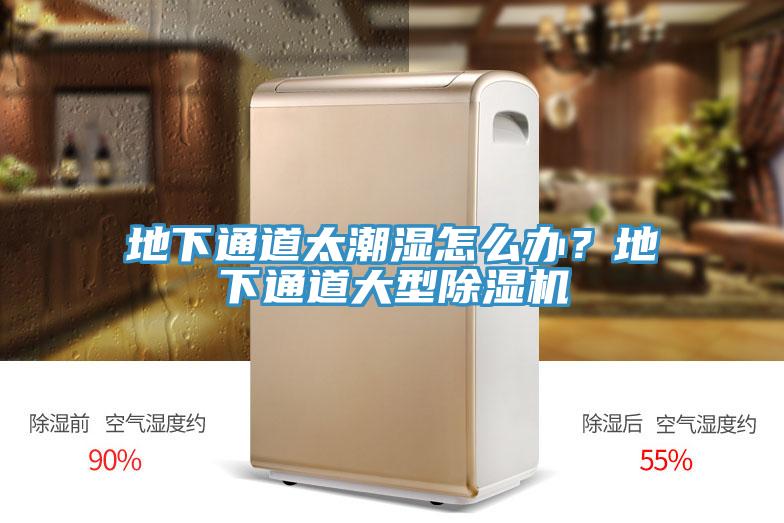 地下通道太潮濕怎麽辦？地下通道大型小黄片软件免费下载