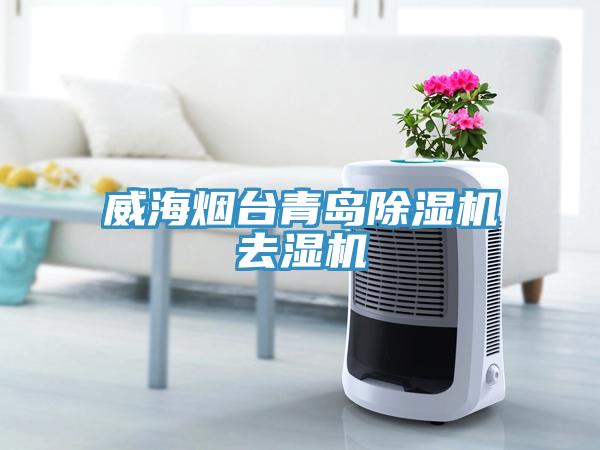 威海煙台青島小黄片软件免费下载去濕機