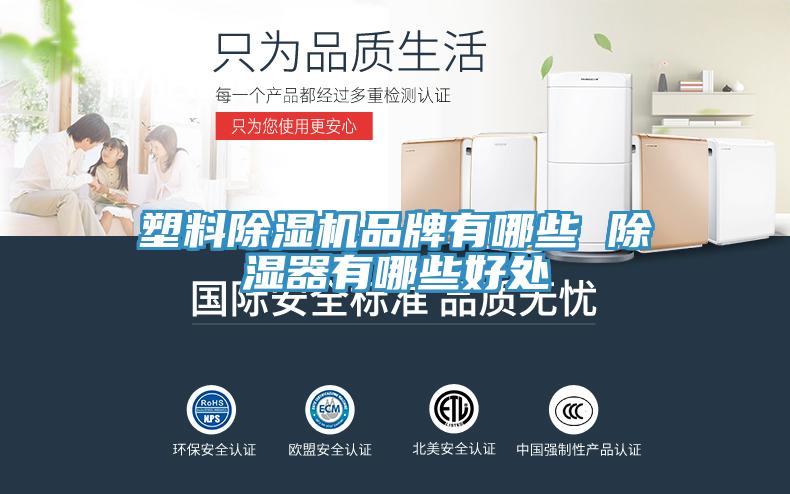 塑料小黄片软件免费下载品牌有哪些 除濕器有哪些好處