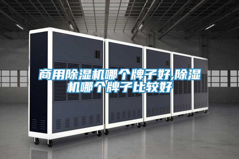 商用小黄片软件免费下载哪個牌子好,小黄片软件免费下载哪個牌子比較好