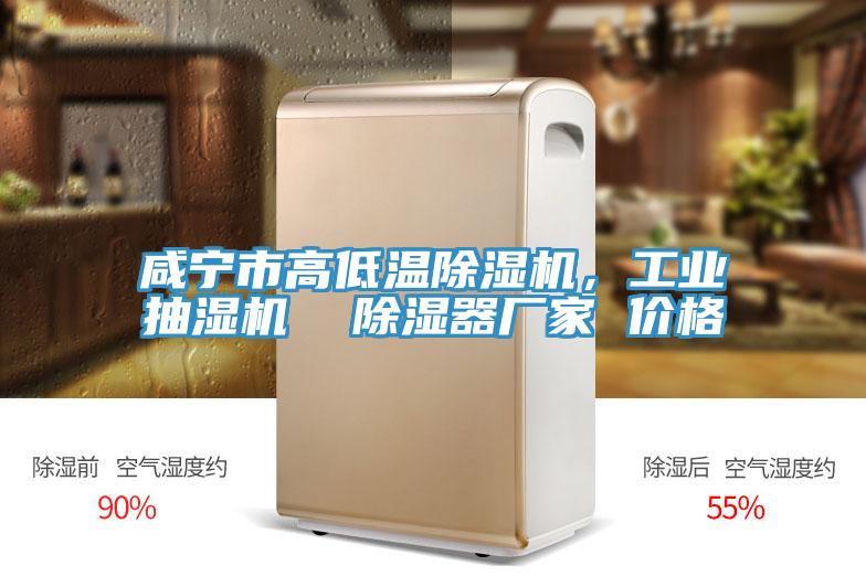 鹹寧市高低溫小黄片软件免费下载，工業抽濕機  除濕器廠家 價格