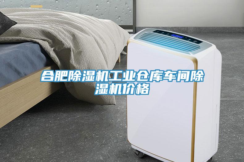 合肥小黄片软件免费下载工業倉庫車間小黄片软件免费下载價格