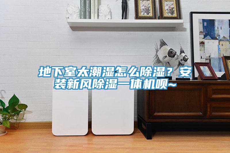 地下室太潮濕怎麽除濕？安裝新風除濕一體機唄~
