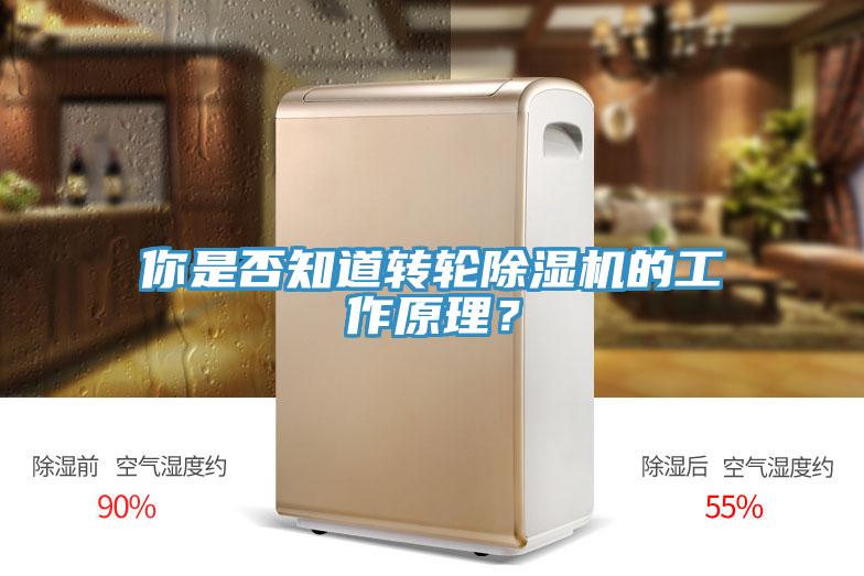 你是否知道轉輪小黄片软件免费下载的工作原理？