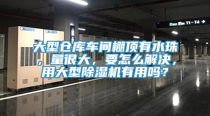 大型倉庫車間棚頂有水珠，量很大，要怎麽解決，用大型小黄片软件免费下载有用嗎？