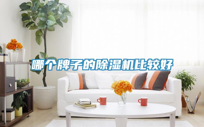 哪個牌子的小黄片软件免费下载比較好
