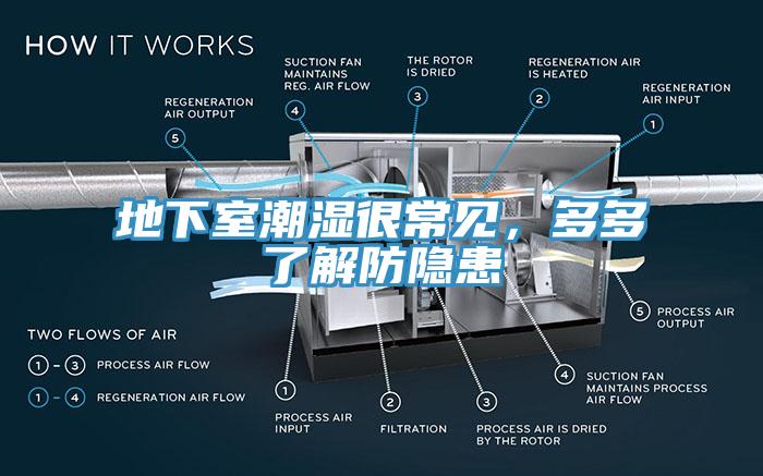 地下室潮濕很常見，多多了解防隱患