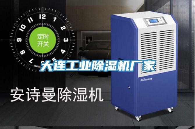 大連工業小黄片软件免费下载廠家