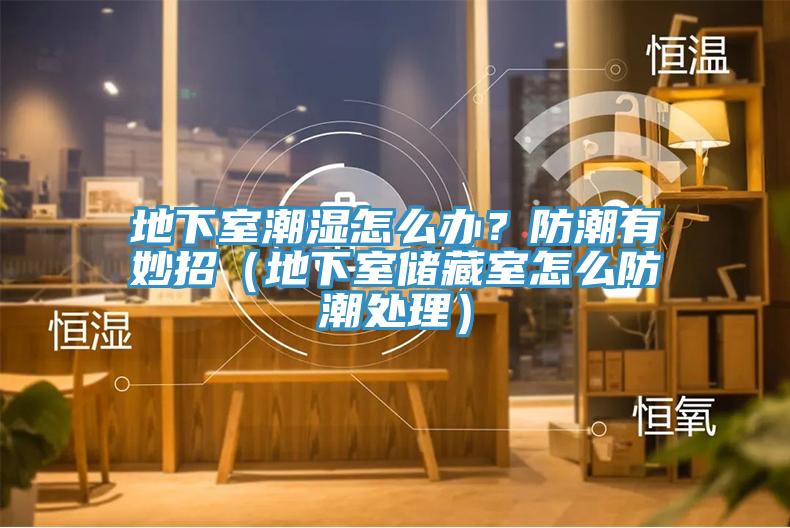 地下室潮濕怎麽辦？防潮有妙招（地下室儲藏室怎麽防潮處理）