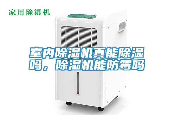 室內小黄片软件免费下载真能除濕嗎，小黄片软件免费下载能防黴嗎
