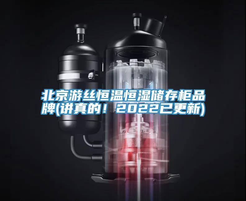 北京遊絲恒溫恒濕儲存櫃品牌(講真的！2022已更新)