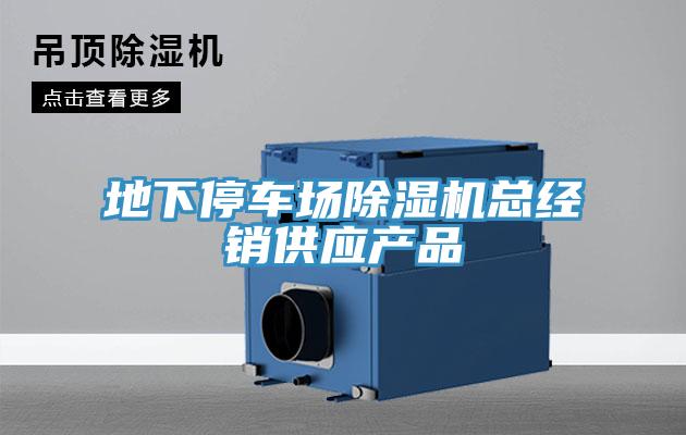 地下停車場小黄片软件免费下载總經銷供應產品